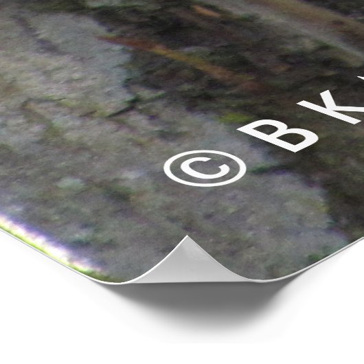 Poster - Eekhoorn (Hoek)