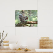 Poster eekhoorn (Keuken)