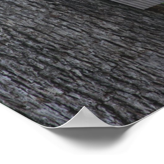 Poster eekhoorn (Hoek)