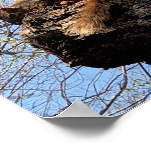 Poster eekhoorn (Hoek)