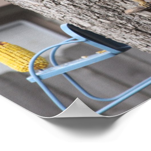 Poster eekhoorn (Hoek)