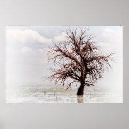 Poster ÉÉN ENKELE BOOM IN EEN SCHEMA MET FOG