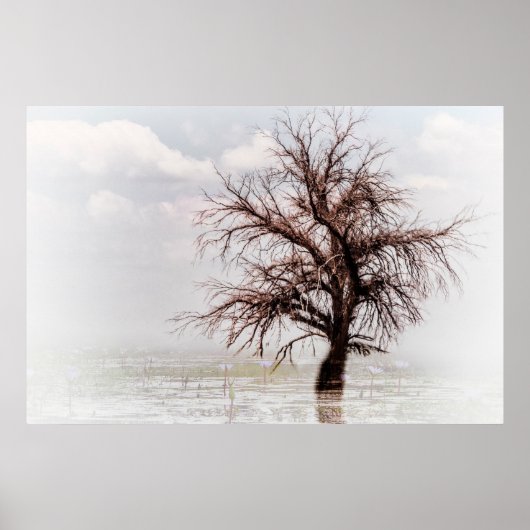 Poster ÉÉN ENKELE BOOM IN EEN SCHEMA MET FOG (Voorkant)