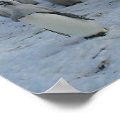 Poster Een zwerm Pingains op Antarctica, foto. (Hoek)