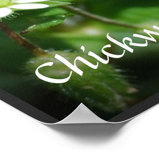 poster Eetbare Weeds (Hoek)