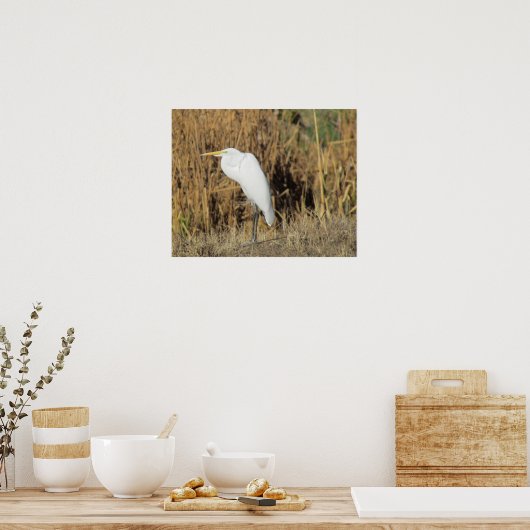 Poster - Egret in gras (Keuken)