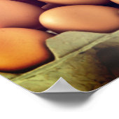 Poster-eieren met piramidespuitje poster (Hoek)