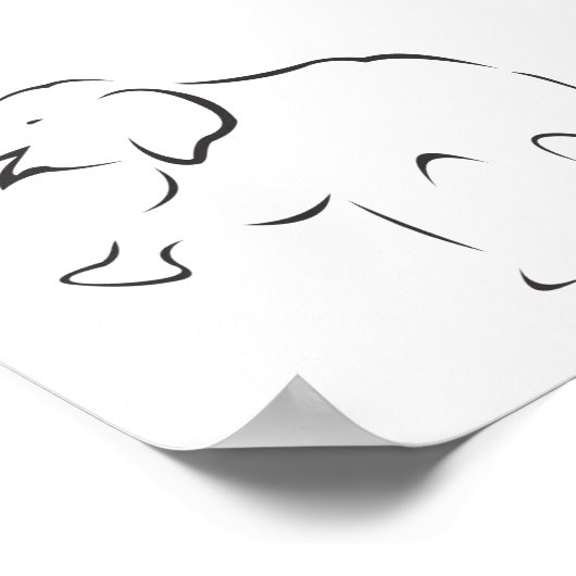 Pôster Elefante Poster (Hoek)