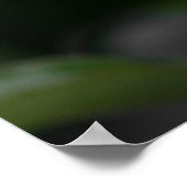 Poster Elegante Roze Knop (Hoek)