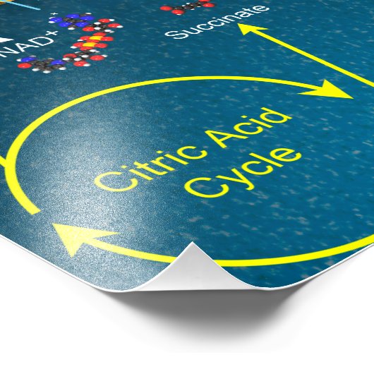 Poster Elektron (Hoek)