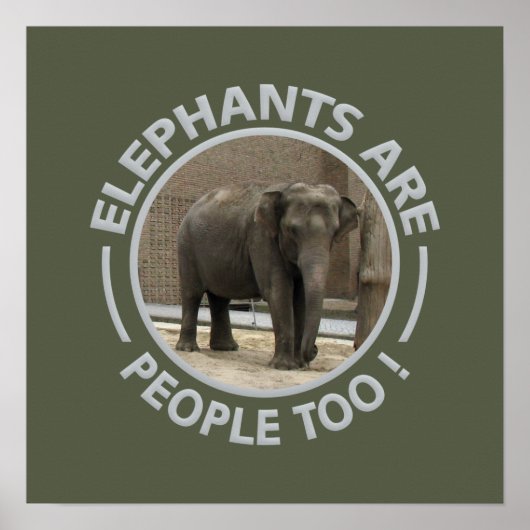 POSTER ELEPHANTS (Voorkant)