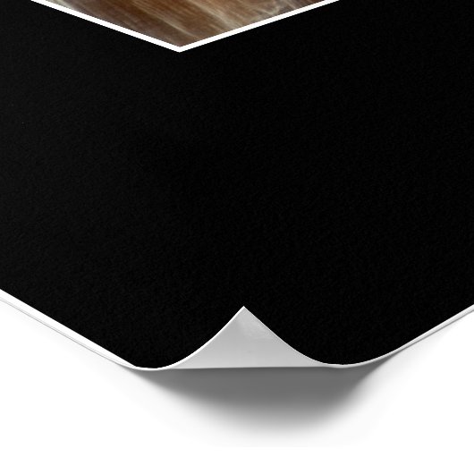 POSTER ELGF en RAVEN (Hoek)