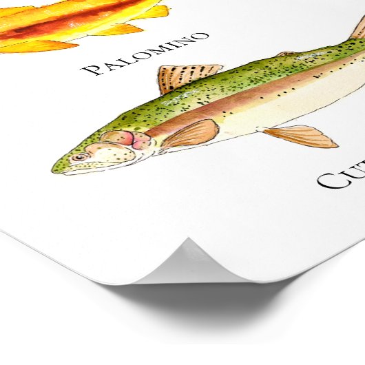 Poster en afdrukken van forel Waterverf (Hoek)