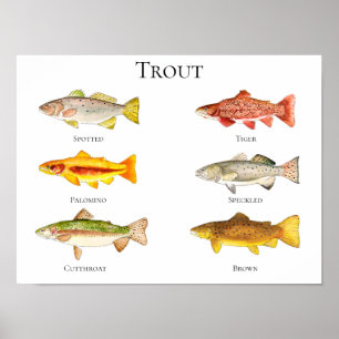 Poster en afdrukken van forel Waterverf