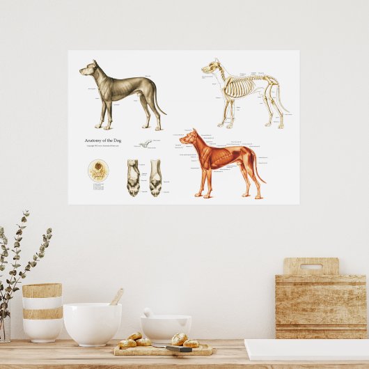 Poster en Botten (Keuken)