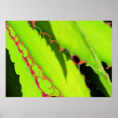 POSTER EN PRINTS (Voorkant)