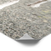 Poster Engelse aanwijzer (Hoek)