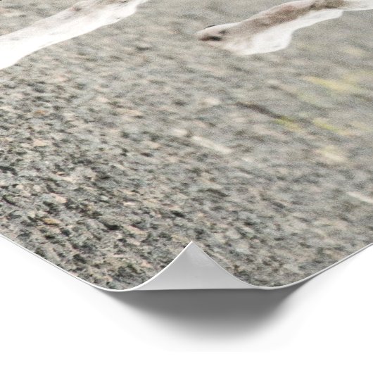 Poster Engelse aanwijzer (Hoek)