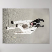 Poster Engelse aanwijzer (Voorkant)