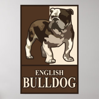 Poster Engelse Bulldog