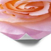 Poster Engelse landtuin Roos (Hoek)