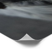 Poster Engelse setter Print (Hoek)