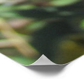 Poster - Enkelvoudige Paarse schroefventilator (Hoek)