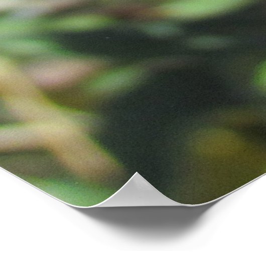 Poster - Enkelvoudige Paarse schroefventilator (Hoek)