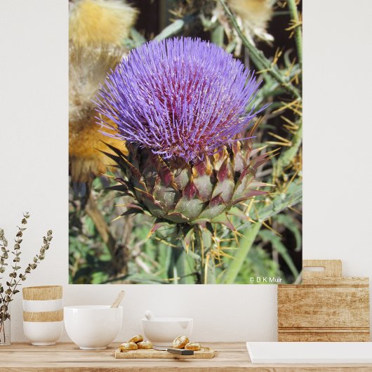 Poster - Enkelvoudige Paarse schroefventilator (Keuken)