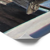 Poster - Enkelvoudige pelikaan op de pier (Hoek)