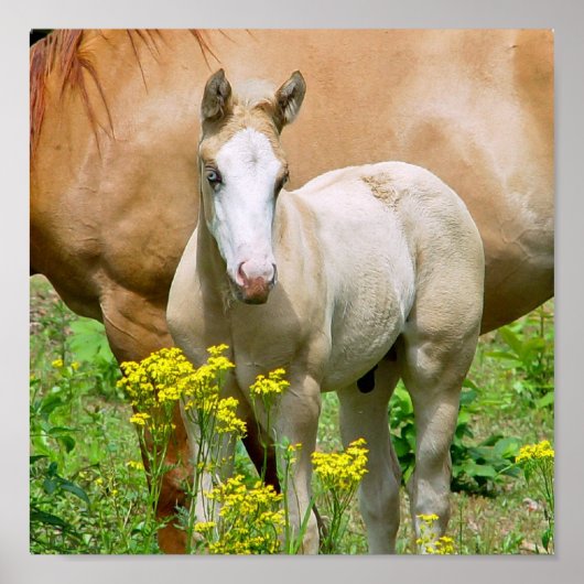 Poster Equine Art afdrukken (Voorkant)