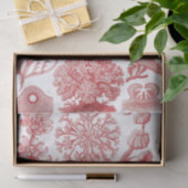 Poster Ernst Haeckel Seaweed Tissuepapier (Geschenk)