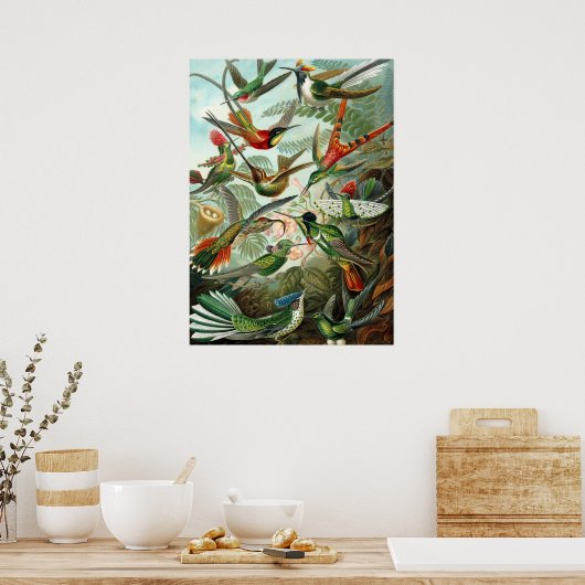 Poster Ernst Haeckel Trochilidae Hummingbird (Keuken)