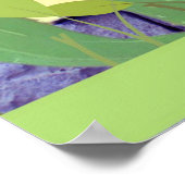 Poster Especial (Hoek)