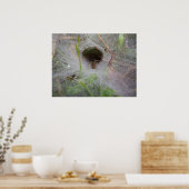 Poster European Funnel Web Spider (Keuken)