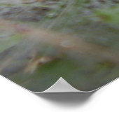 Poster European Funnel Web Spider (Hoek)