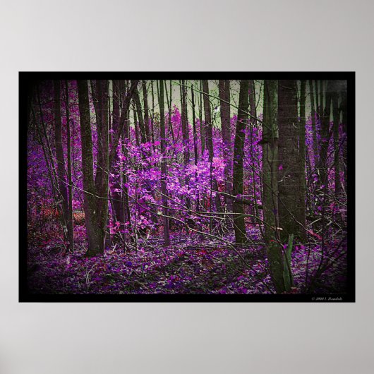 Poster Faded Lavender Dreams (Voorkant)