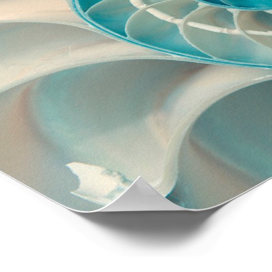 Poster - Fibonacci-sequentie in het leven van het (Hoek)