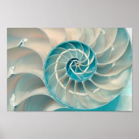 Poster - Fibonacci-sequentie in het leven van het (Voorkant)