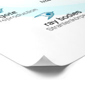 Poster Figuur Babesia microti levenscyclus (Hoek)