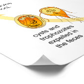 Poster Figuur Giardia Levenscyclus Parasiet (Hoek)