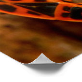 Poster Firebugs (Hoek)