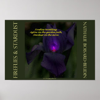 poster "Fireflies & Stardust" Portfolio (16,5 x 11