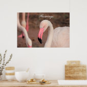 Poster Flamingo (Keuken)