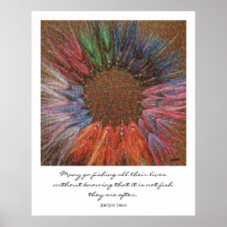 Poster Fly Halo Montage