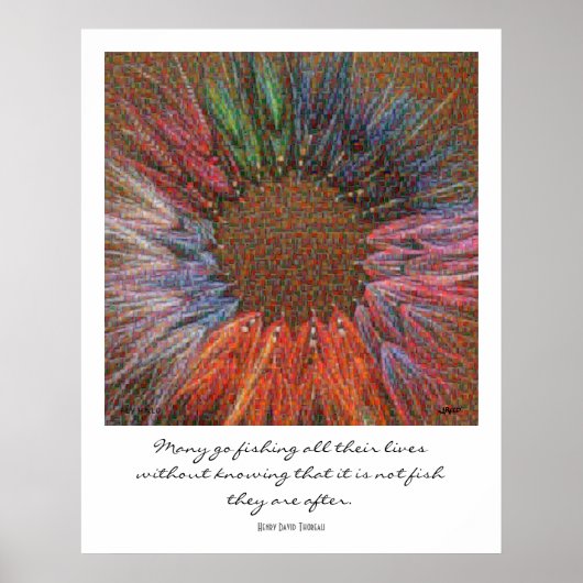 Poster Fly Halo Montage (Voorkant)