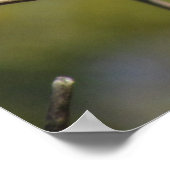 Poster - Flycatcher (Hoek)