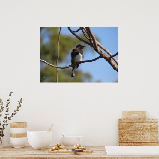 Poster - Flycatcher (Keuken)