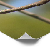 Poster - Flycatcher-profiel (Hoek)