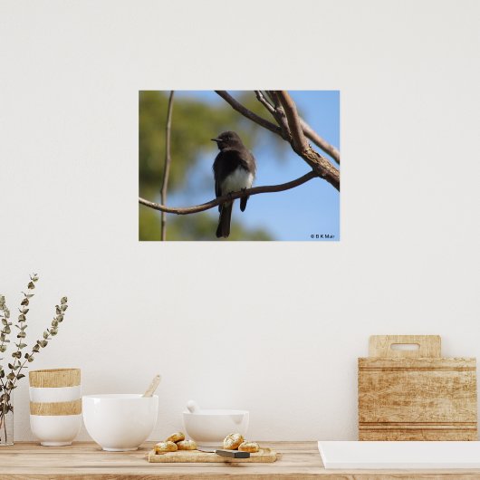 Poster - Flycatcher-profiel (Keuken)